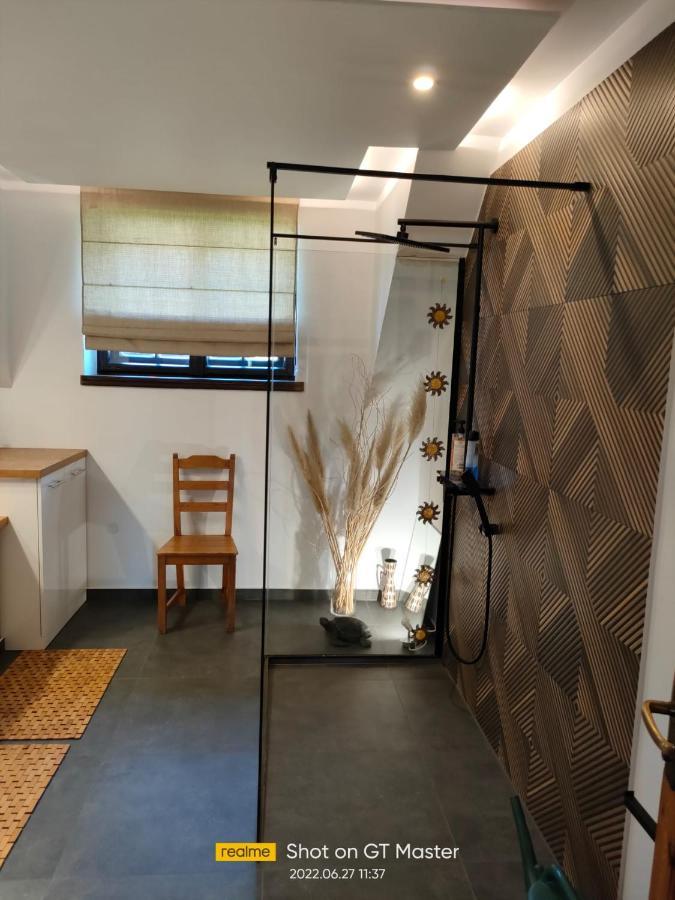 Apartament Forest Mysłakowice Exteriör bild