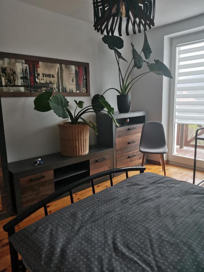 Apartament Forest Mysłakowice Exteriör bild