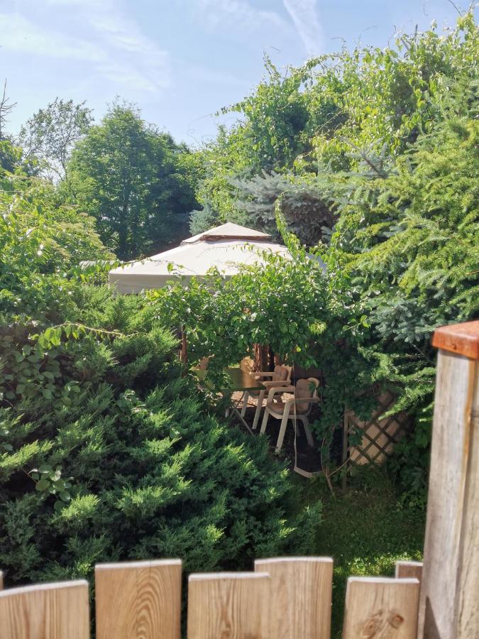 Apartament Forest Mysłakowice Exteriör bild