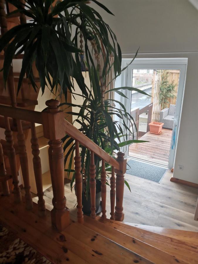 Apartament Forest Mysłakowice Exteriör bild