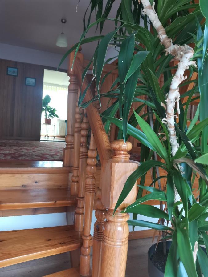 Apartament Forest Mysłakowice Exteriör bild